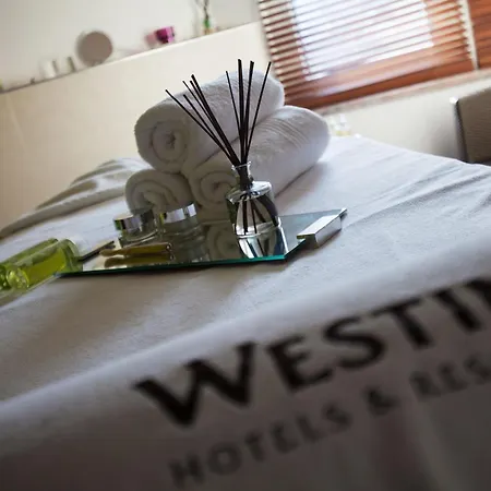 The Westin Grand Frankfurt Frankfurt nad Mohanem